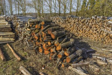 Chauffage au bois : toujours l’énergie la moins chère en 2025