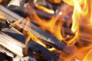 Lighting a nice fire in a wood-burning stove or insert: instructions for use