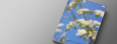 Coffee Table Book (Engelstalige versie)