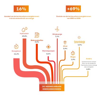 Het energiehout, een belangrijke bijdrager onder de hernieuwbare energiebronnen