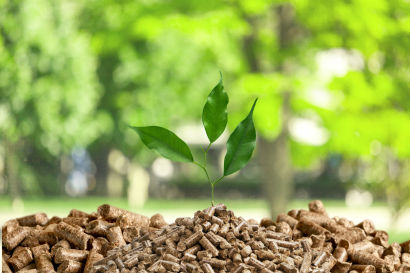 Pellet: la scelta giusta e i giusti riflessi