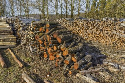 Chauffage au bois : toujours l’énergie la moins chère en 2025