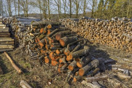 Quale legna scegliere per la stufa a legna: scelta, stagionatura e conservazione