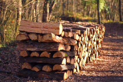 Firewood storage and seasoning: the complete guide