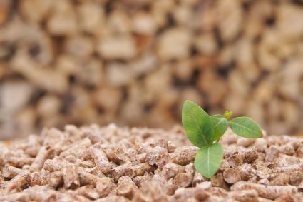 Poêles à bois, poêles à pellets et inserts : la seconde vie des cendres